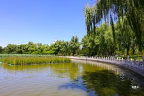 莲花池公园