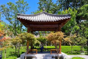 莲花池公园