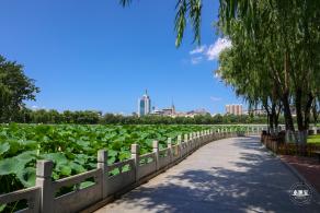 莲花池公园