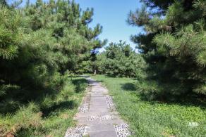 半塔郊野公园