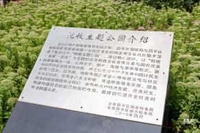 回龙园