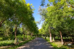 东小口森林公园