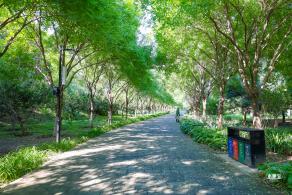 东小口森林公园