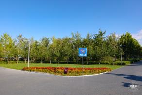 东小口休闲公园