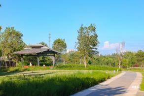 东小口休闲公园