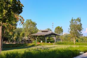 东小口休闲公园