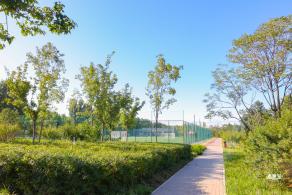 东小口休闲公园