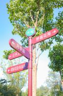 东小口休闲公园