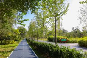 东小口休闲公园