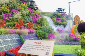国庆花坛