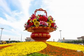 国庆花坛