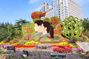 国庆花坛