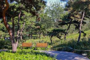 龙潭中湖公园