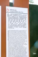 龙潭中湖公园
