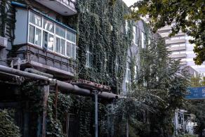 798艺术区