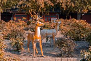 景山公园