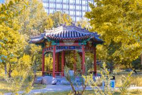 月坛公园