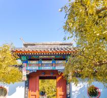月坛公园