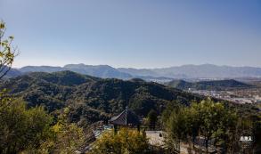 百望山森林公园