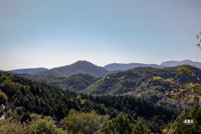 百望山森林公园
