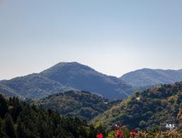 百望山森林公园