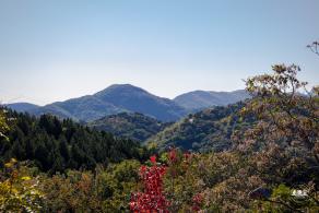 百望山森林公园