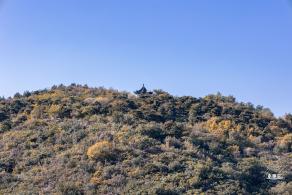 百望山森林公园