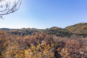 百望山森林公园