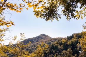 百望山森林公园
