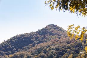 百望山森林公园