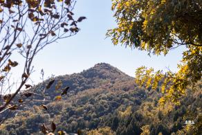 百望山森林公园