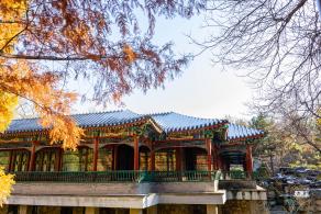 中山公园（雪）