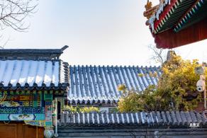 中山公园（雪）