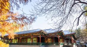 中山公园（雪）