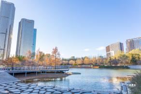 大望京公园