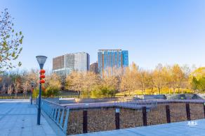 大望京公园