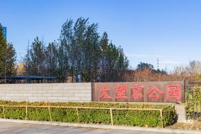 大望京公园