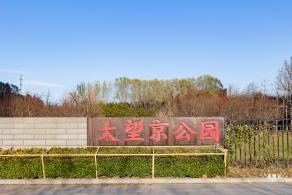 大望京公园