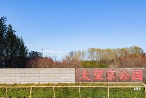 大望京公园