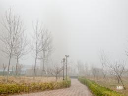 雾霾天气