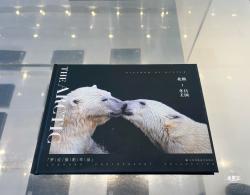罗红摄影艺术馆