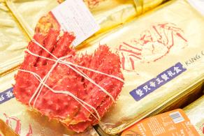 成都采编