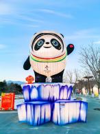 花灯（2022）北京