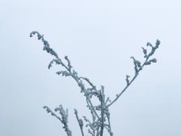 雪（内蒙古篇）