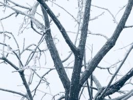雪（内蒙古篇）