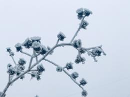 雪（内蒙古篇）