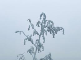 雪（内蒙古篇）