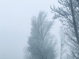 雪（内蒙古篇）