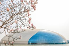 国家大剧院（玉兰花篇）