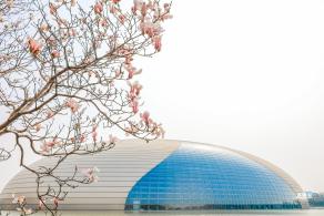 国家大剧院（玉兰花篇）